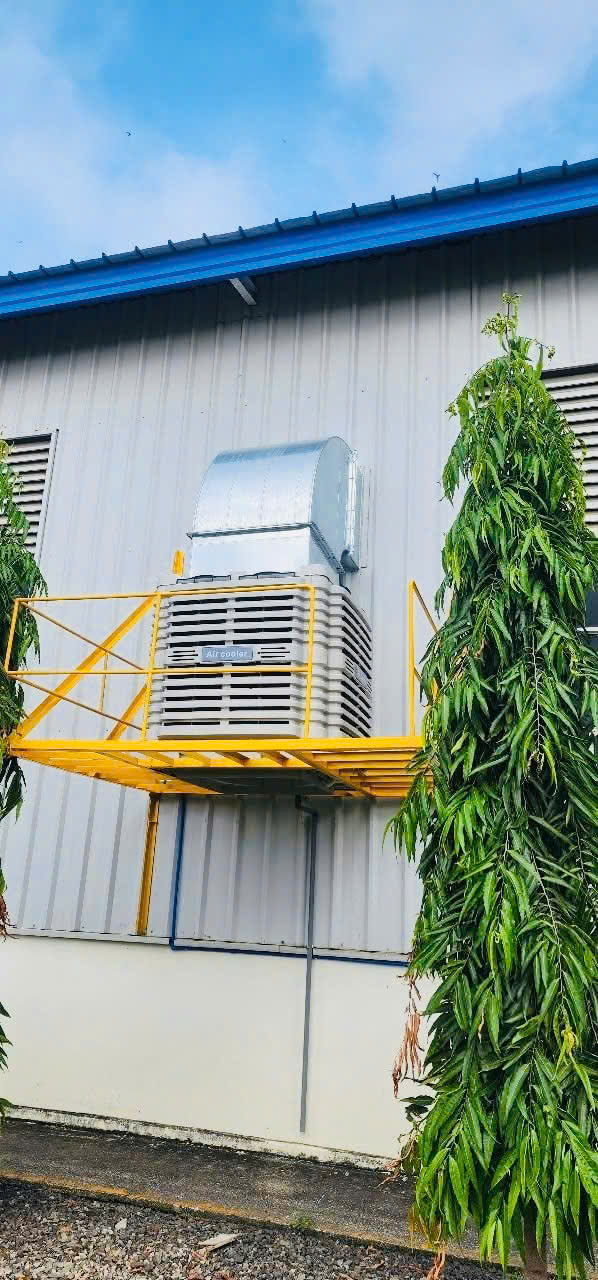 thi công hệ thống làm mát nhà kho